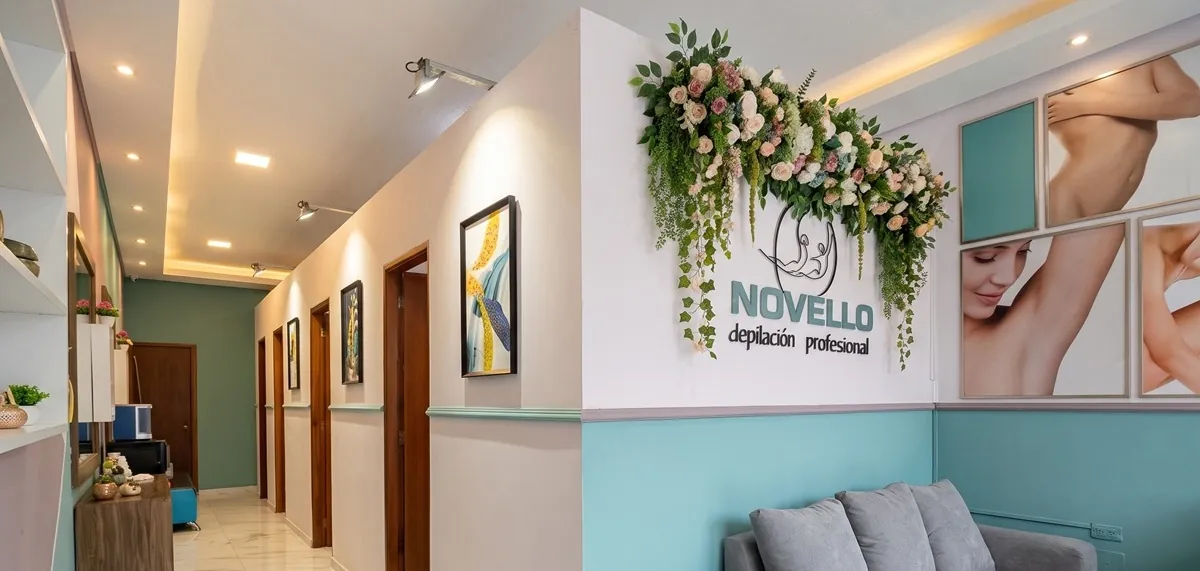 Recepción de Novello en Santo Domingo